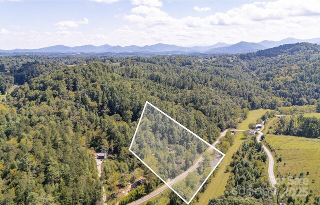 22 Fern Gully, Marshall, NC 28753 - photo 21