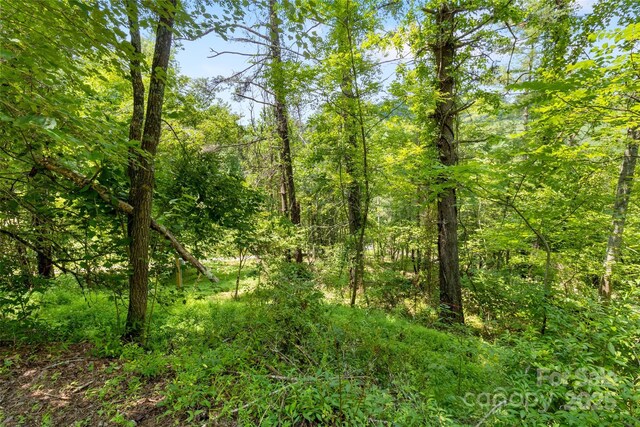 22 Fern Gully, Marshall, NC 28753 - photo 22