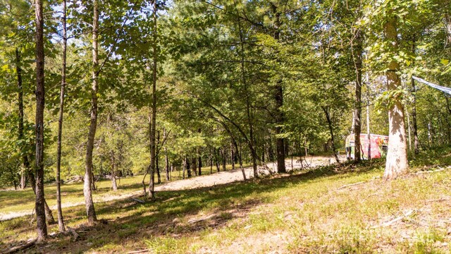 22 Fern Gully, Marshall, NC 28753 - photo 23