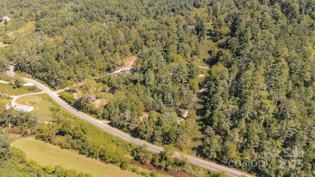 22 Fern Gully, Marshall, NC 28753 - photo 24