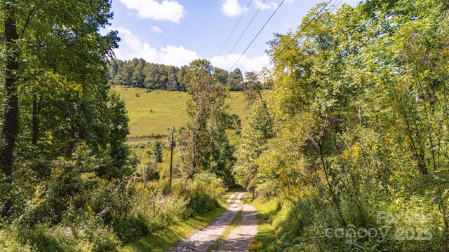 22 Fern Gully, Marshall, NC 28753 - photo 25