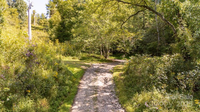 22 Fern Gully, Marshall, NC 28753 - photo 26