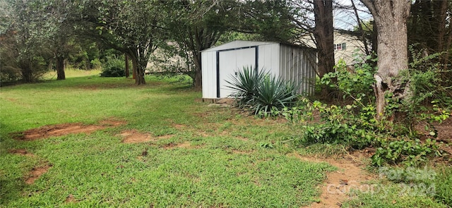 view of yard with a storage unit