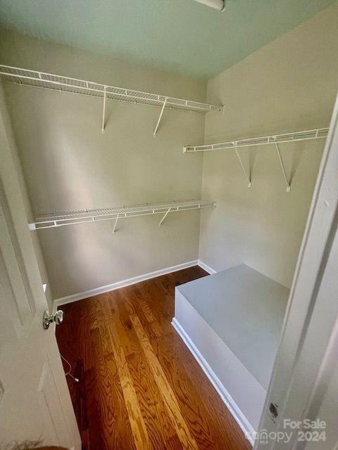 walk in closet with dark hardwood / wood-style floors