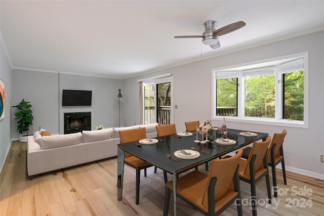 dining room with ceiling fan, ornamental molding, and light hardwood / wood-style flooring