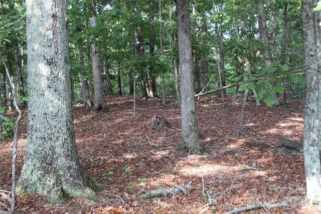 0 Breywood Ct, Forest City NC, 28043 land for sale