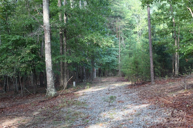 Listing photo 3 for 0 Breywood Ct, Forest City NC 28043