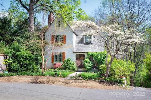 25 Normandy Rd, Asheville, NC 28803 - photo 2