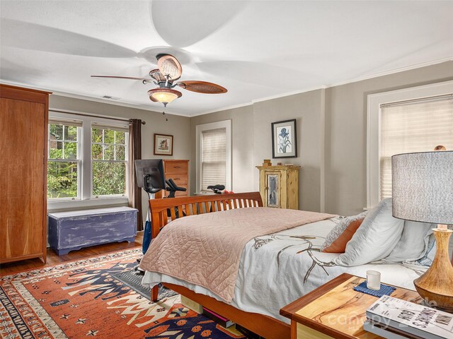 25 Normandy Rd, Asheville, NC 28803 - photo 19