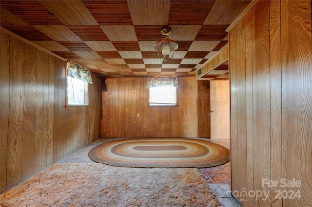 interior space with wood walls