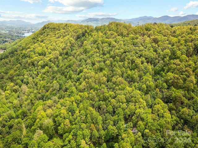 00 Locust Trl, Waynesville NC, 28785 land for sale