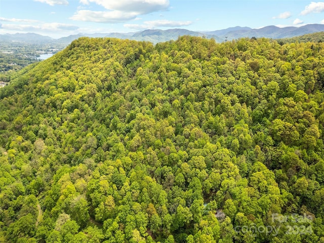 00 Locust Trl, Waynesville, NC 28785