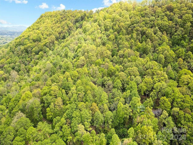 00 Locust Trl, Waynesville, NC 28785