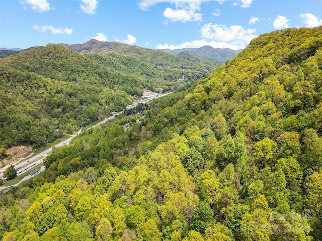 00 Locust Trl, Waynesville, NC 28785