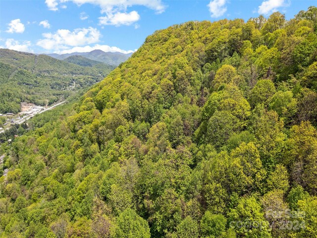00 Locust Trl, Waynesville, NC 28785