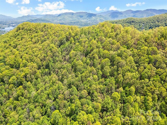 00 Locust Trl, Waynesville, NC 28785