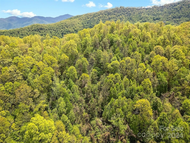 00 Locust Trl, Waynesville, NC 28785