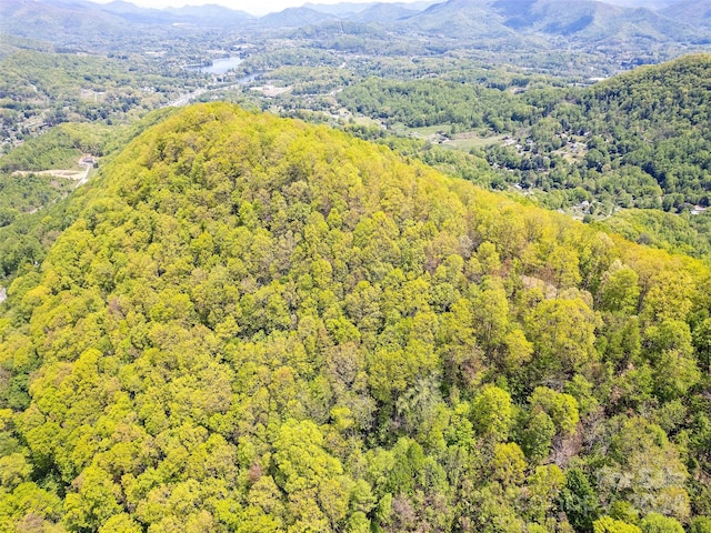 00 Locust Trl, Waynesville, NC 28785