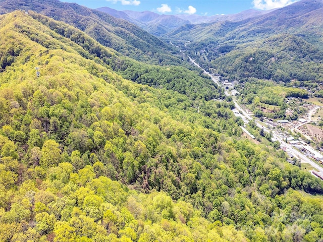 00 Locust Trl, Waynesville, NC 28785