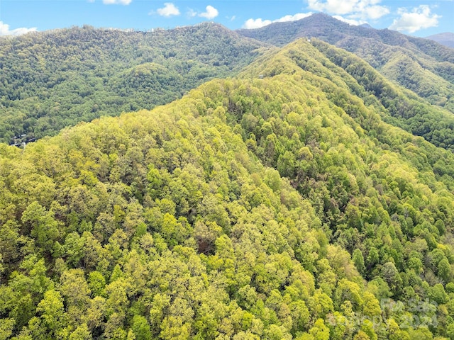 00 Locust Trl, Waynesville, NC 28785