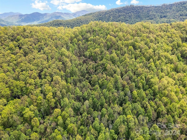 00 Locust Trl, Waynesville, NC 28785