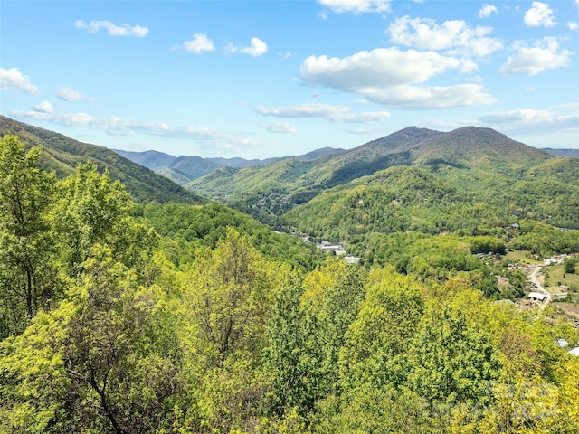 00 Locust Trl, Waynesville, NC 28785
