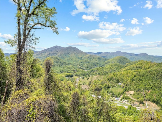 00 Locust Trl, Waynesville, NC 28785