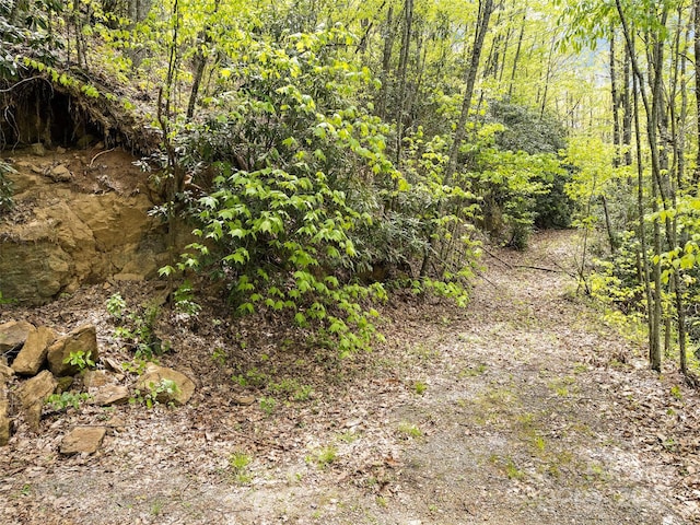 00 Locust Trl, Waynesville, NC 28785