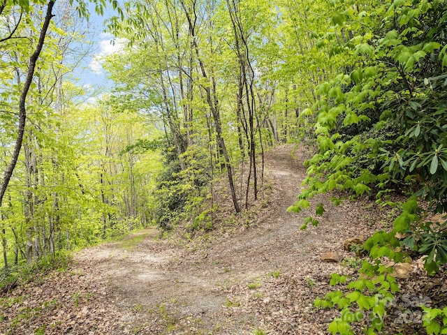 00 Locust Trl, Waynesville, NC 28785