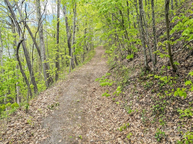 00 Locust Trl, Waynesville, NC 28785