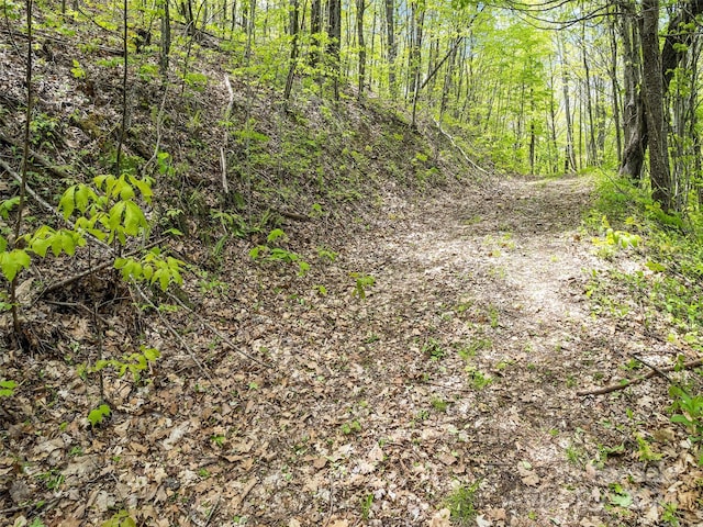 00 Locust Trl, Waynesville, NC 28785