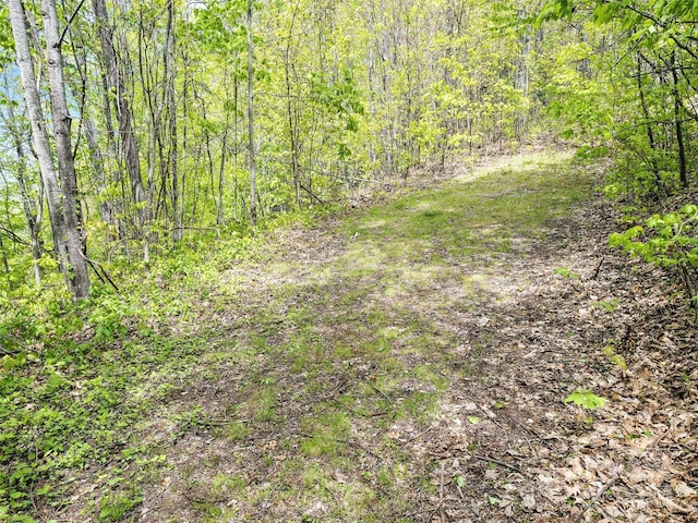 00 Locust Trl, Waynesville, NC 28785