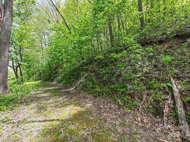 00 Locust Trl, Waynesville, NC 28785