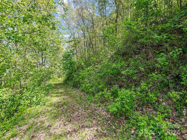 00 Locust Trl, Waynesville, NC 28785