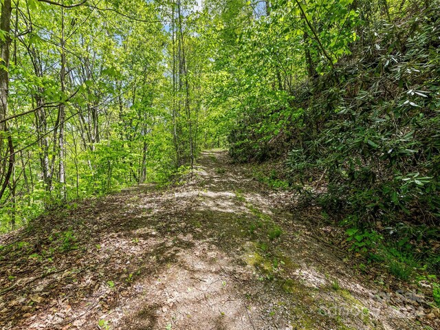 00 Locust Trl, Waynesville, NC 28785