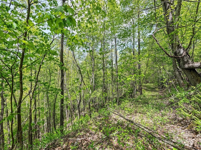 00 Locust Trl, Waynesville, NC 28785