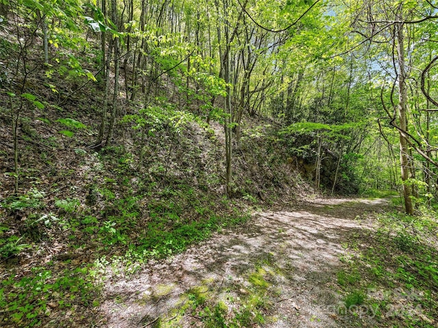 00 Locust Trl, Waynesville, NC 28785