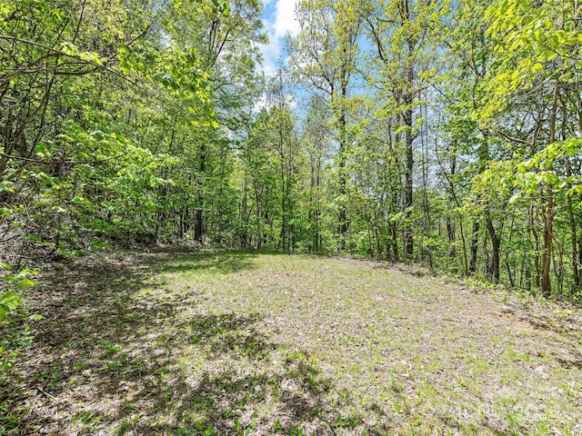 00 Locust Trl, Waynesville, NC 28785