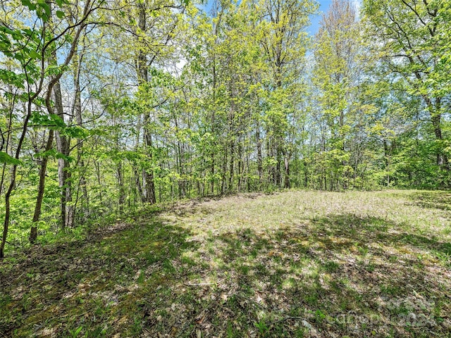 00 Locust Trl, Waynesville, NC 28785