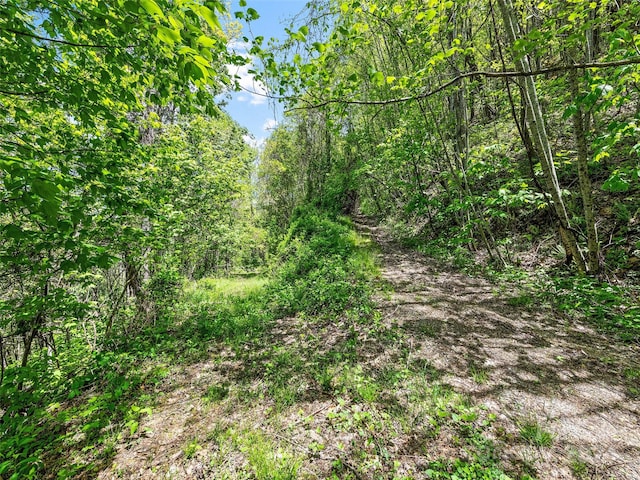 00 Locust Trl, Waynesville, NC 28785
