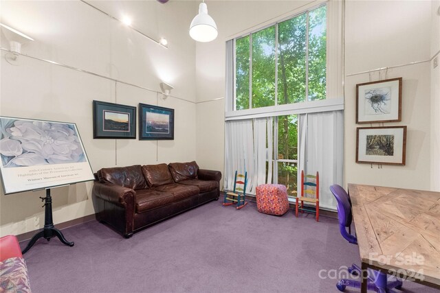 1346 Hill Rd, Charlotte, NC 28210 - photo 23
