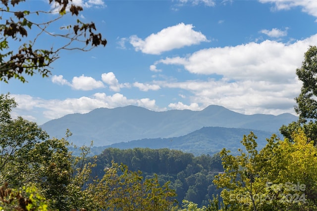 property view of mountains