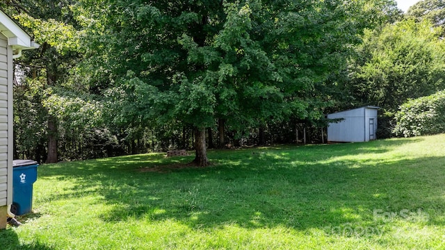 view of yard featuring a storage shed