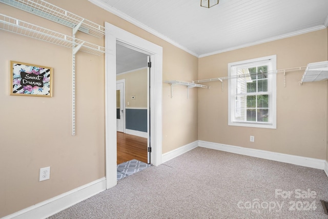 spacious closet featuring carpet flooring