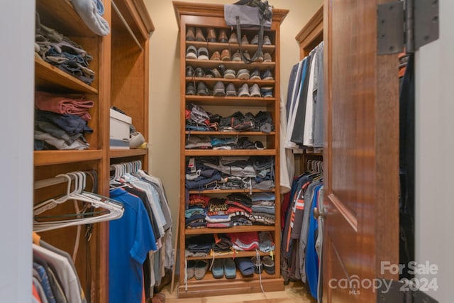 view of spacious closet