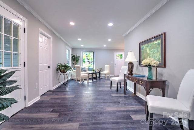 sitting room with crown molding and dark wood-type flooring