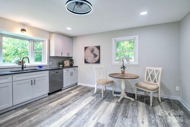 kitchen featuring a healthy amount of sunlight, stainless steel dishwasher, sink, and light hardwood / wood-style floors