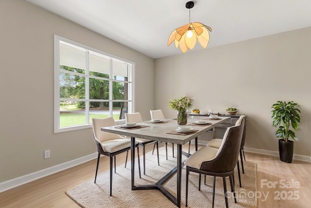 dining room with light wood-type flooring