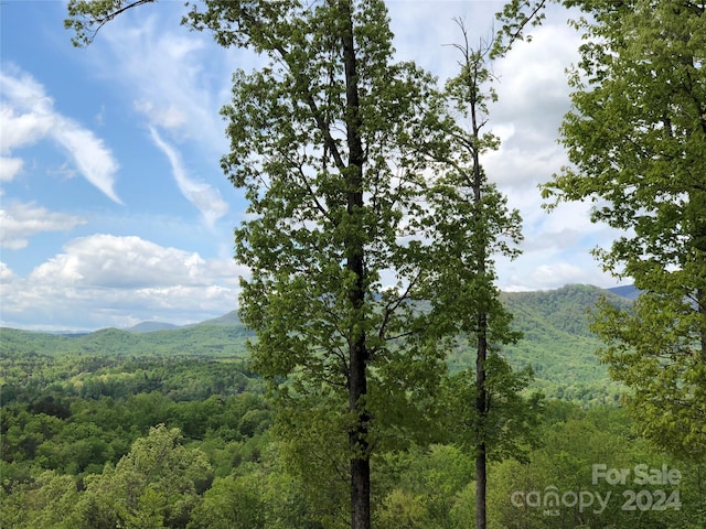 Listing photo 3 for 0 High Rock Rdg Lot 22, Lake Lure NC 28746