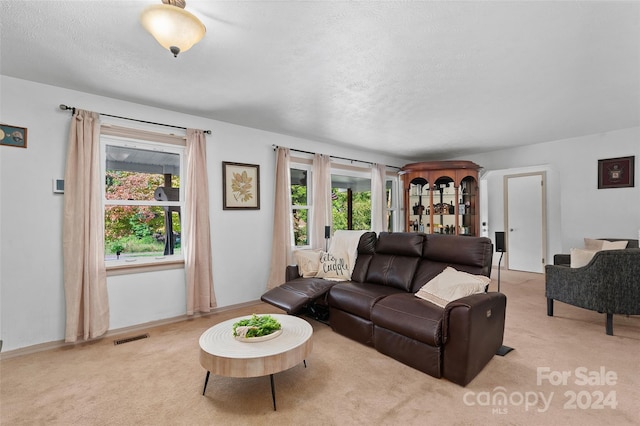 living room with a textured ceiling, light carpet, and a healthy amount of sunlight